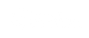 Jose David Pinto